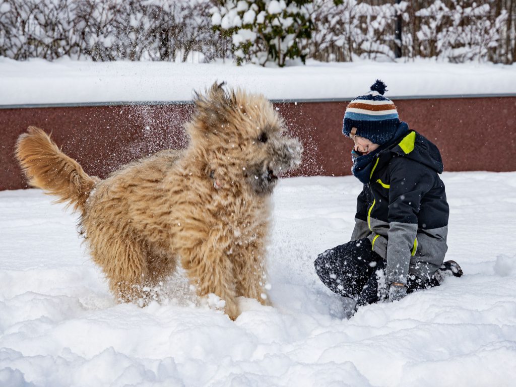 ... spielt mit Kindern im Schnee
