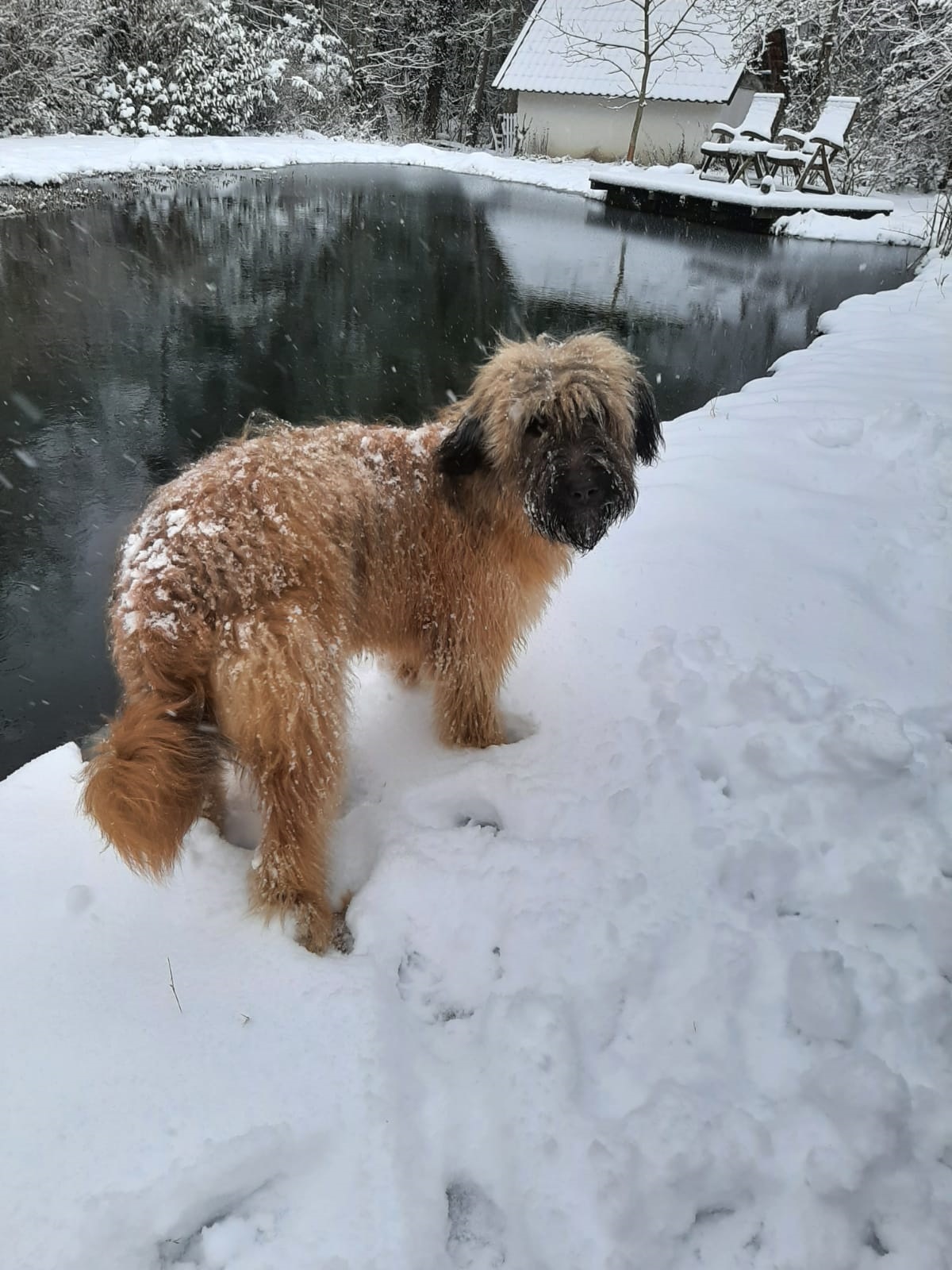 ... am eigenen Schwimmteich